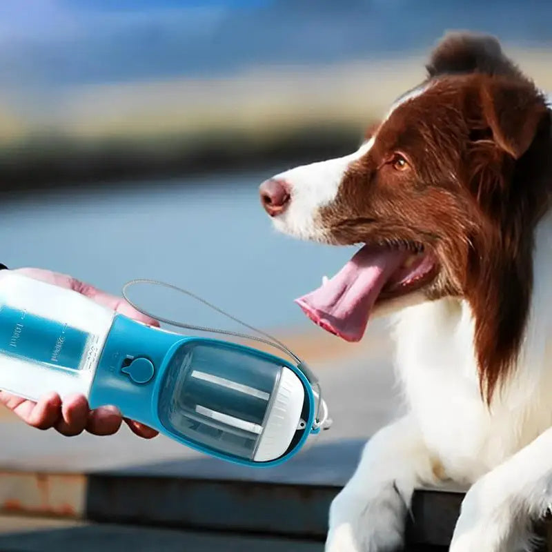 Convenient 3-in-1 Dog Cup: Water, Food, and Waste Bags On-the-Go! - goodestpetstore