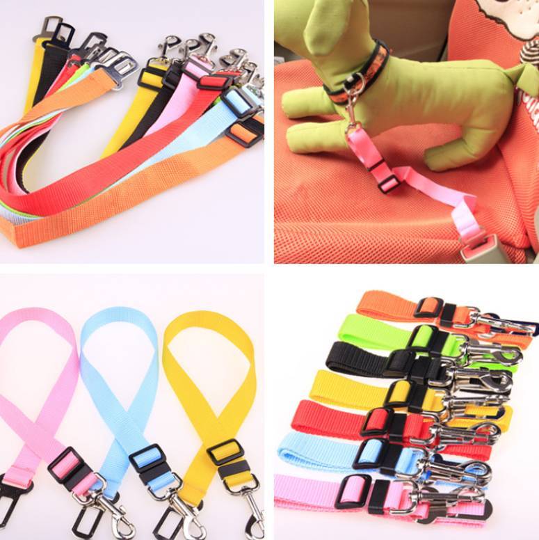 Fixed Strap Polyester Dog Leash: Durable, Comfortable & Reliable - goodestpetstore